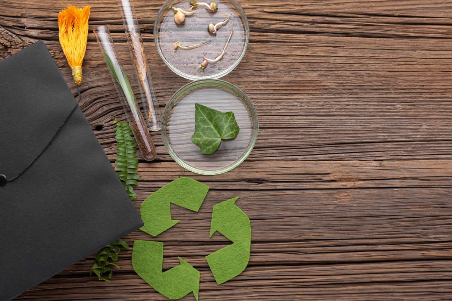 Environmental Vanguard